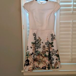 Ted Baker dress
